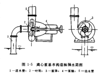 離心泵基本構造